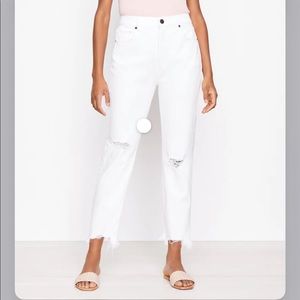 Loft Curvy High Wasted Jeans